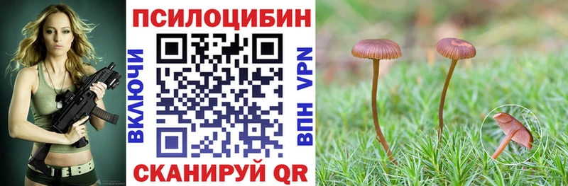 Купить где  Уфа  Галлюциногенные грибы прущие грибы 